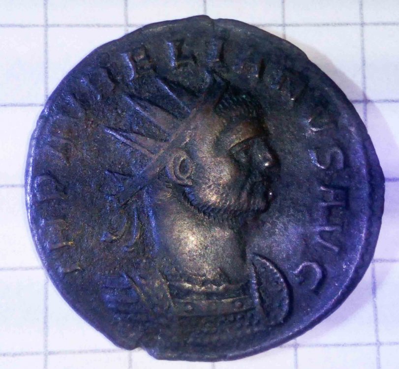 IMG_20211028_153556 (1) (1) (1).jpg