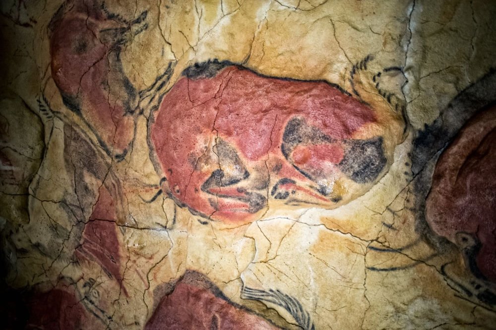 1424878677_GrottadiAltamira.thumb.jpg.7edd2ca3c3a56942b386f2939878dc3a.jpg