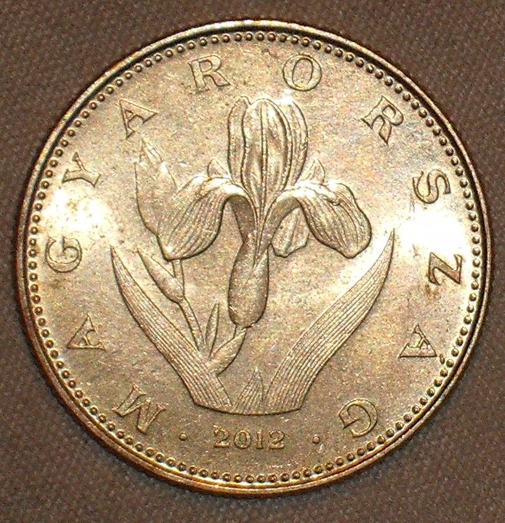 20 forint 2012 d.JPG
