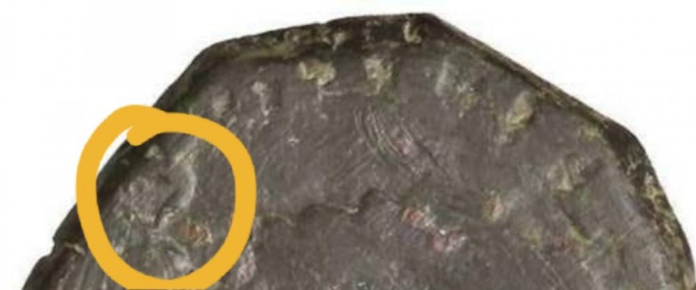 Screenshot_20211110-195019_Samsung Internet.jpg