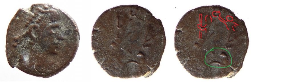 strana lamoneta2.jpg