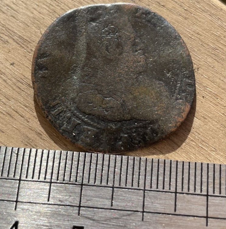 Image (1)-min-min.jpeg