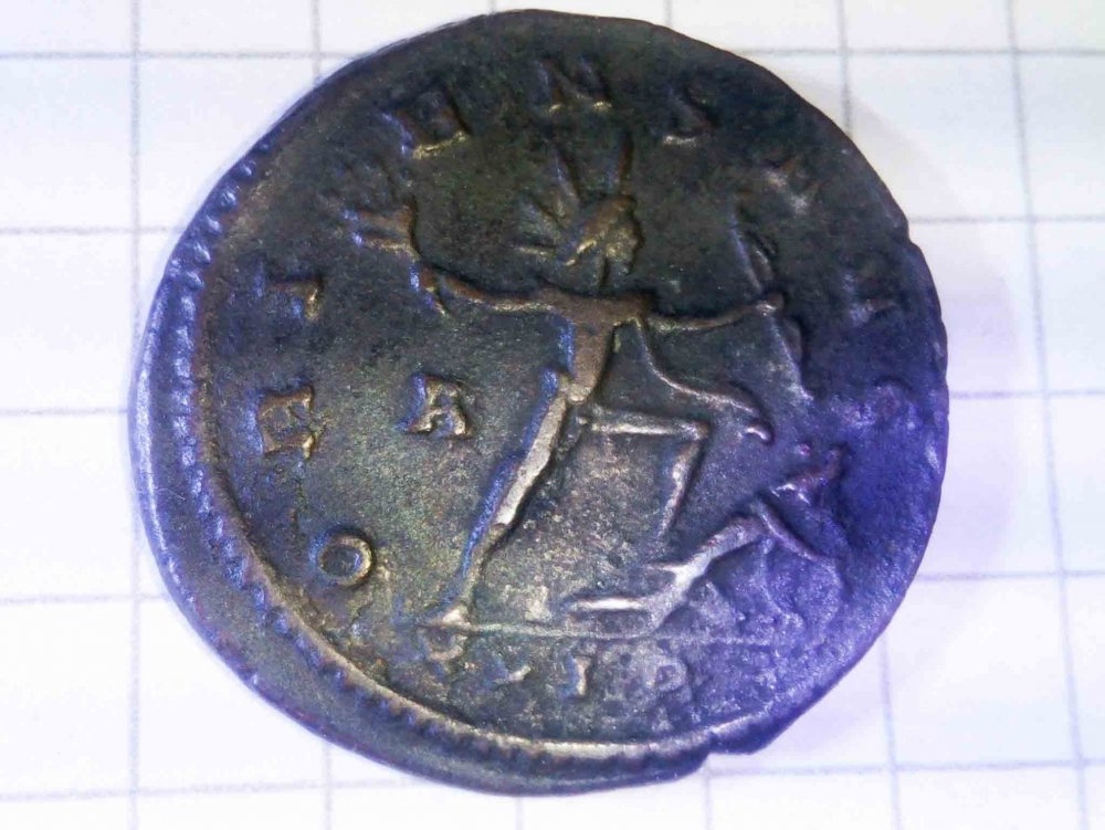 IMG_20211028_153613 (1).jpg