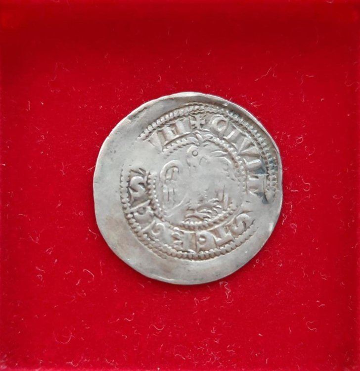 Trieste - Arlongo de Visgoni - Denaro con Colomba - R.jpg