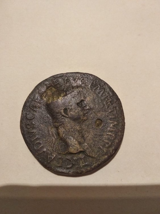 WhatsApp Image 2021-12-14 at 16.04.32.jpeg