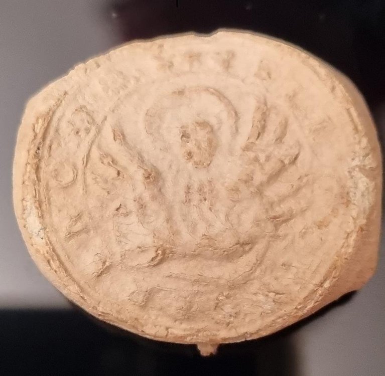 Tappo Theriaca 2.jpg