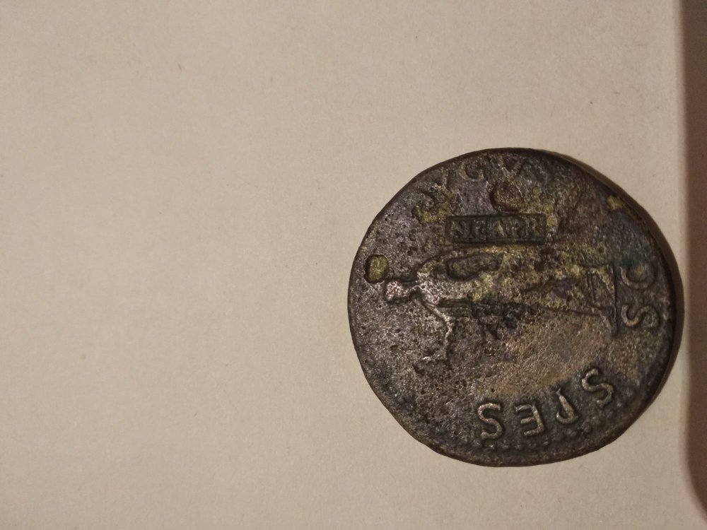 WhatsApp Image 2021-12-14 at 16.04.55.jpeg