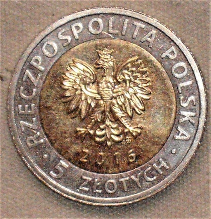 5 zlotych 2016 d.JPG