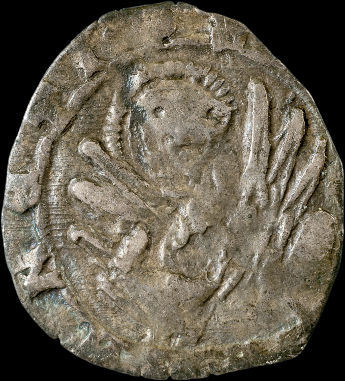 Foscari Museo Rovescio.png