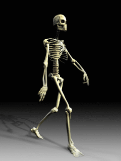 skeleton_bj4v8z2m.gif.eb23d5223cd17a6eac33952e6b3ba72e.gif