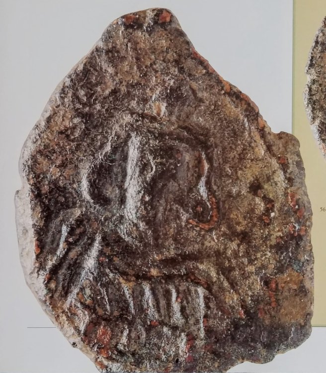 WhatsApp Image 2020-10-07 at 00.08.27.jpeg