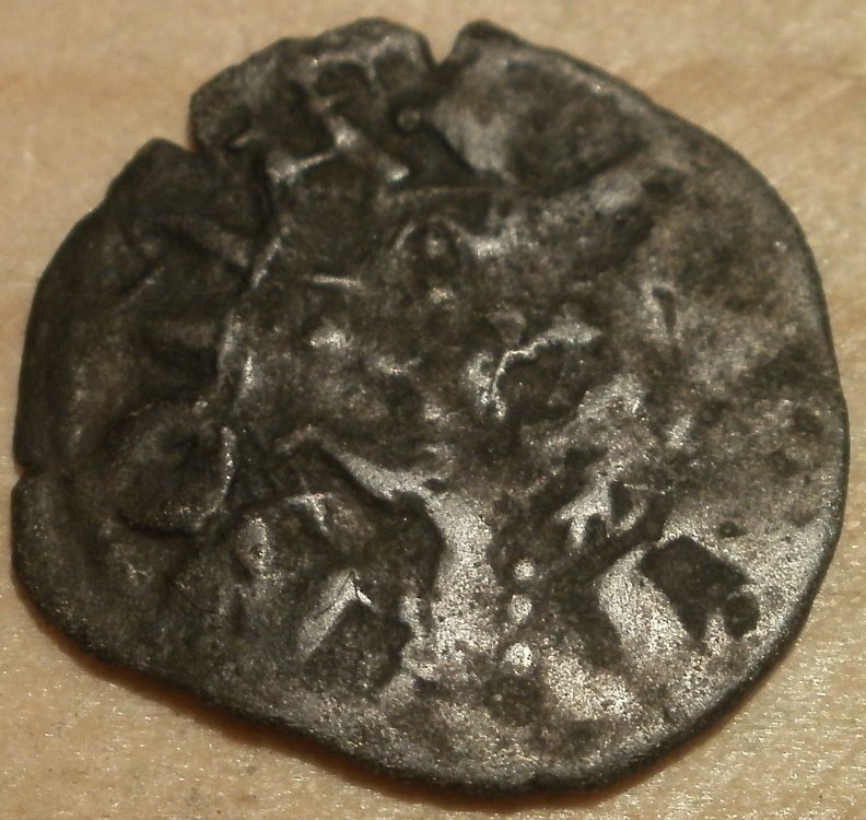 P1050224 15 mm, 0,49 g.JPG