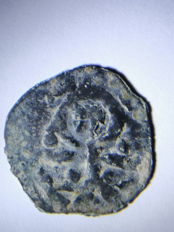 Foto da Vito De Meo (34).jpg