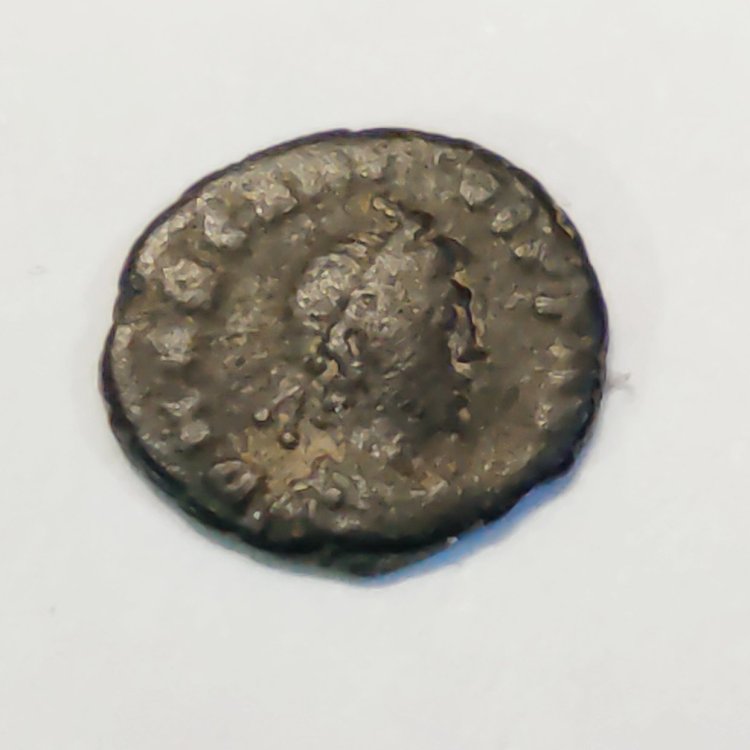 IMG_20220125_140625 0.6.jpg