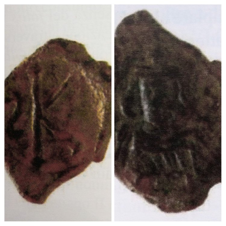 WhatsApp Image 2020-10-07 at 00.08.27 (2).jpeg