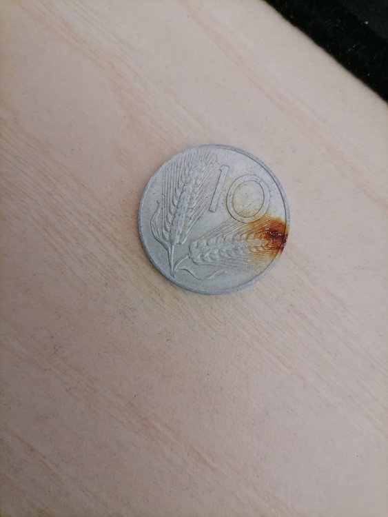 WhatsApp Image 2022-01-01 at 11.21.00.jpeg