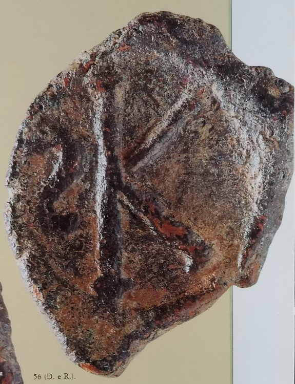 WhatsApp Image 2020-10-07 at 00.08.27 (1).jpeg