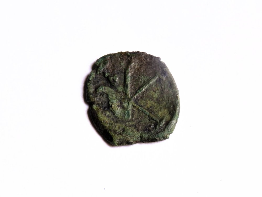 WhatsApp Image 2020-10-06 at 23.54.08 (1).jpeg