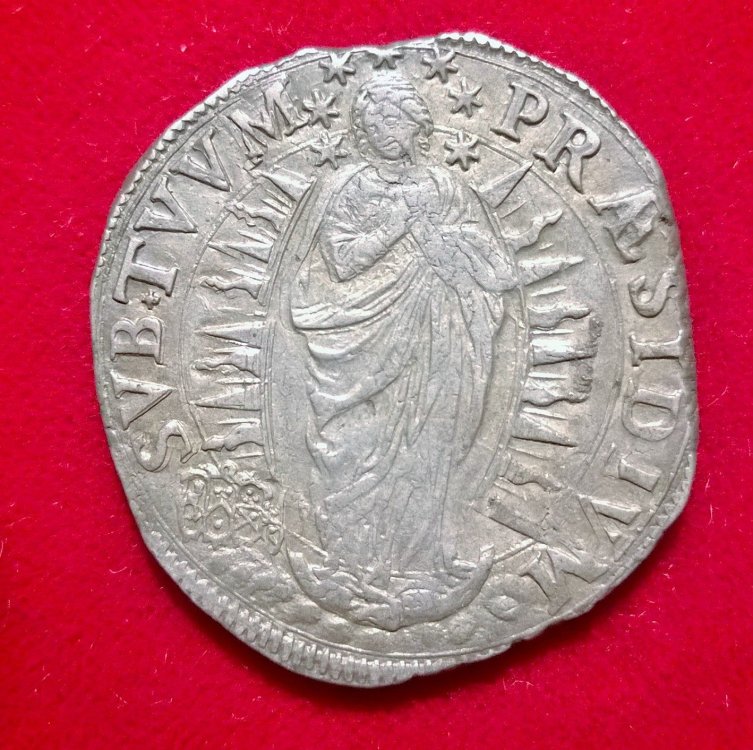 WP_20140926_037.jpg