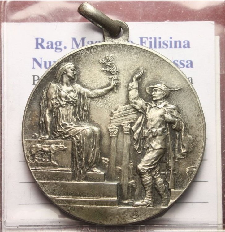 1 MEDAGLIA ARGENTO ALPINI.jpg