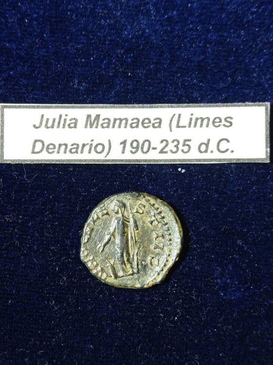 Julia Mamaea limes denario R..jpg