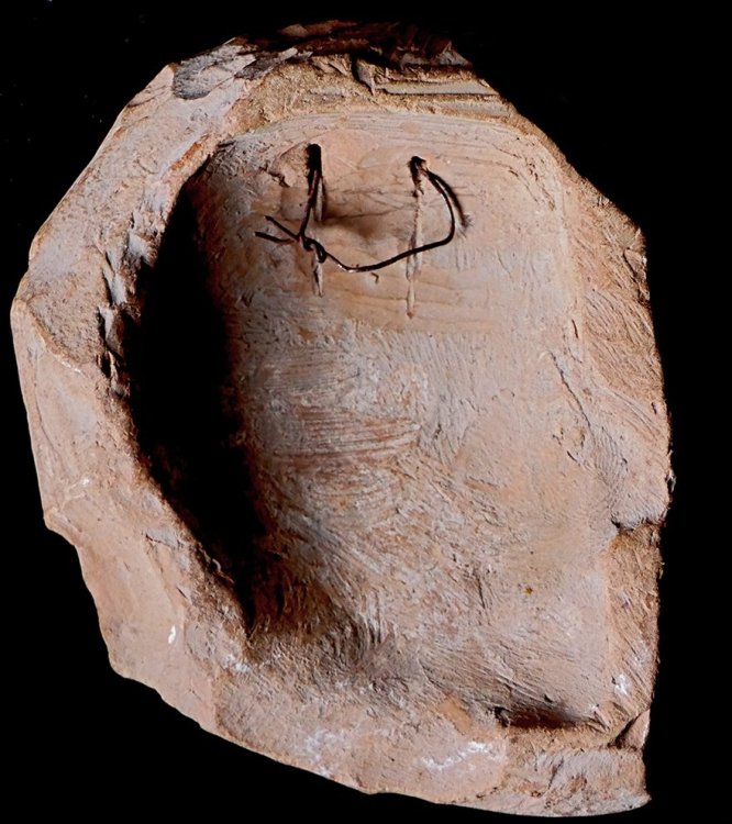 Testa in terracotta Lato B_72.jpg