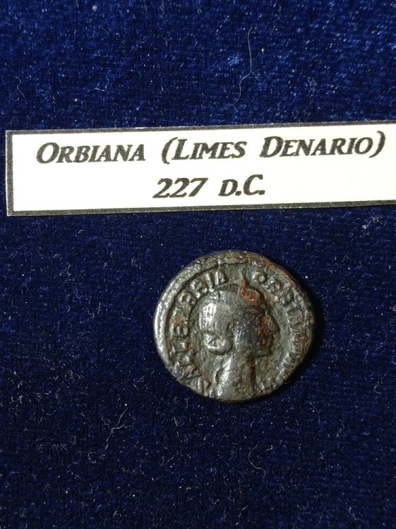 Orbiana Limes denario.jpg