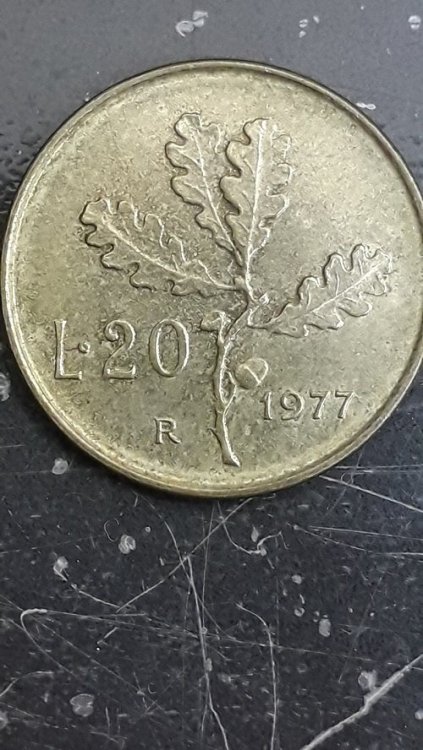 20220218_120232.jpg