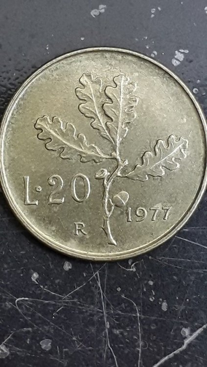 20220218_120336.jpg