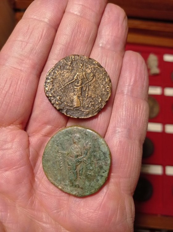 Didio Juliano e Didia Clara.jpg