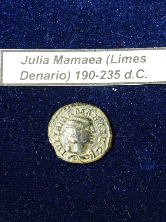 Julia Mamaea limes denario..jpg