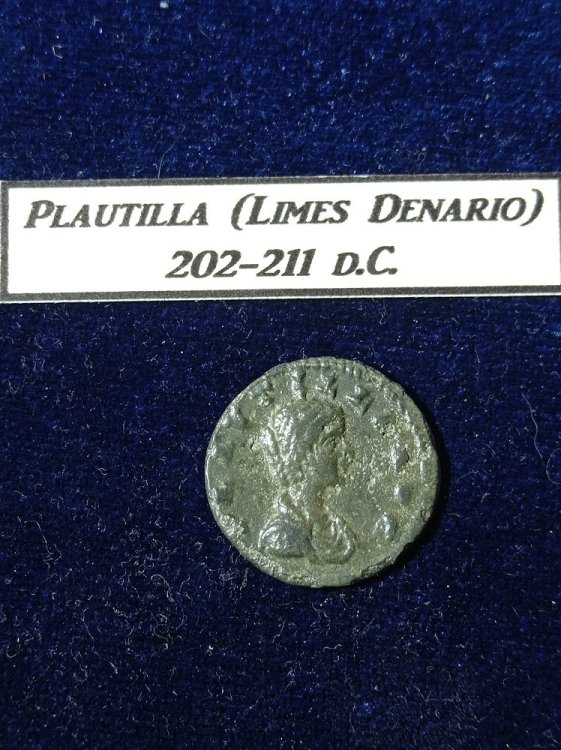Plautilla limes denario..jpg