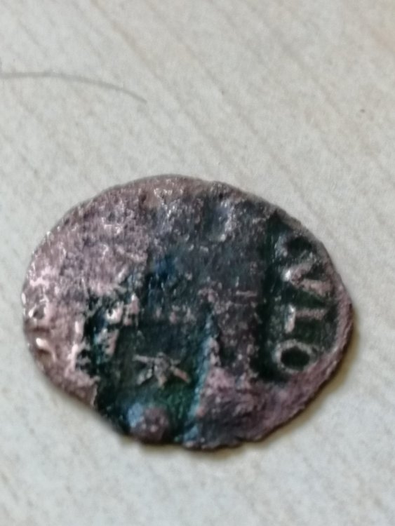 WhatsApp Image 2022-02-24 at 11.26.56.jpeg