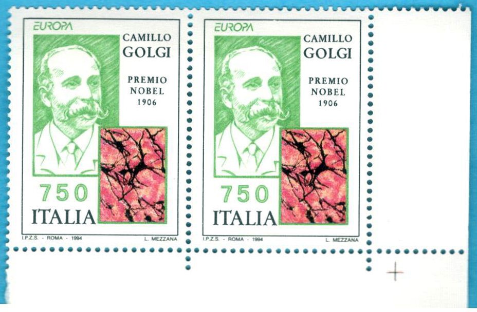2087010286_11.CamilloGolgiPavia1994.jpg.84c84237574ed63181edc6472fd18ba1.jpg