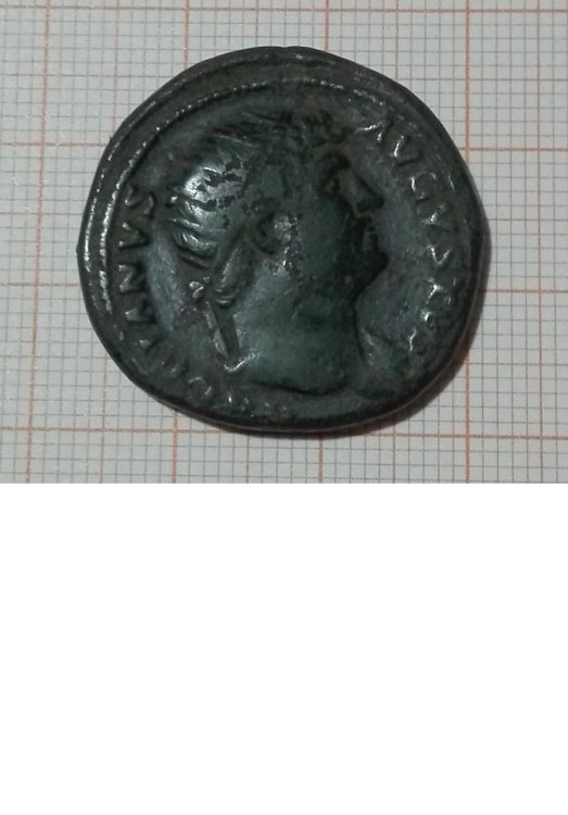 Immagine fronte1.jpg