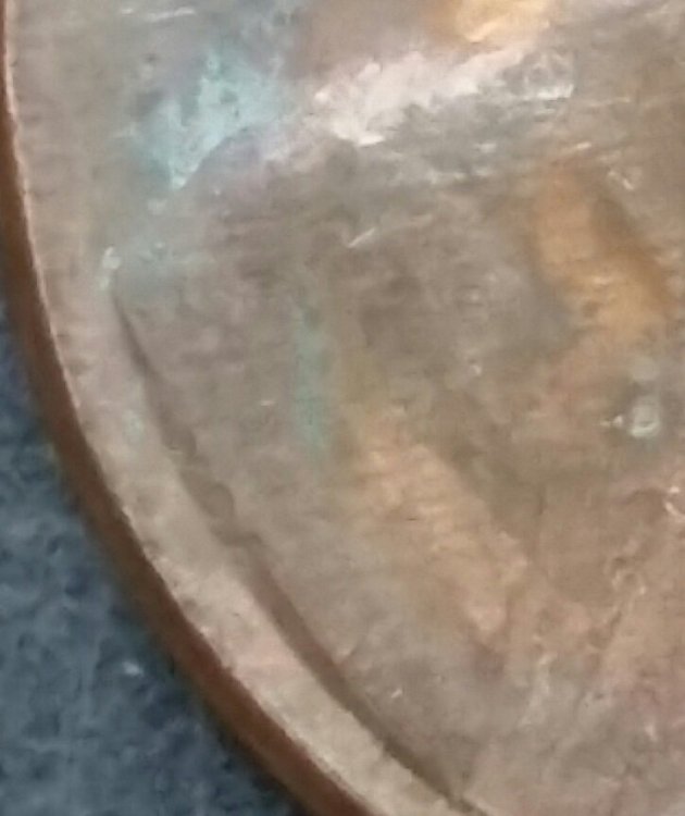 2022-03-10 13.07.00.jpg