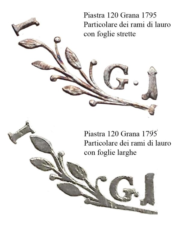 Confronto Foglie.jpg