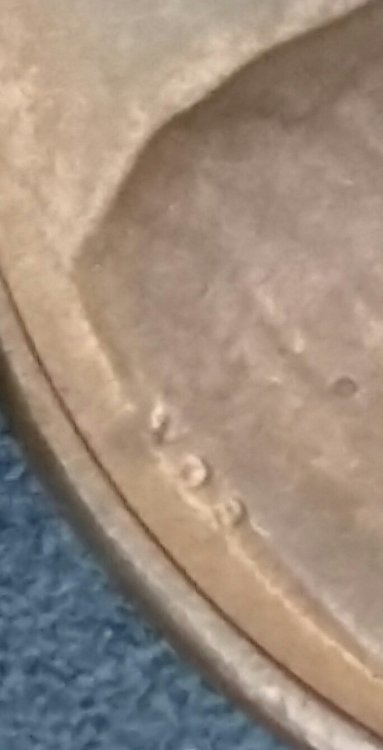 2022-03-10 12.44.53.jpg