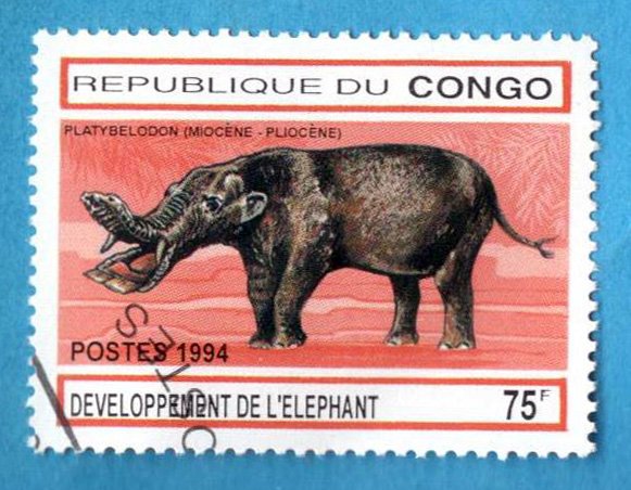 1379684626_5bis.RepubblicadelCongo2.jpg.53b44d6f5e4a23305ebf0720e779852a.jpg