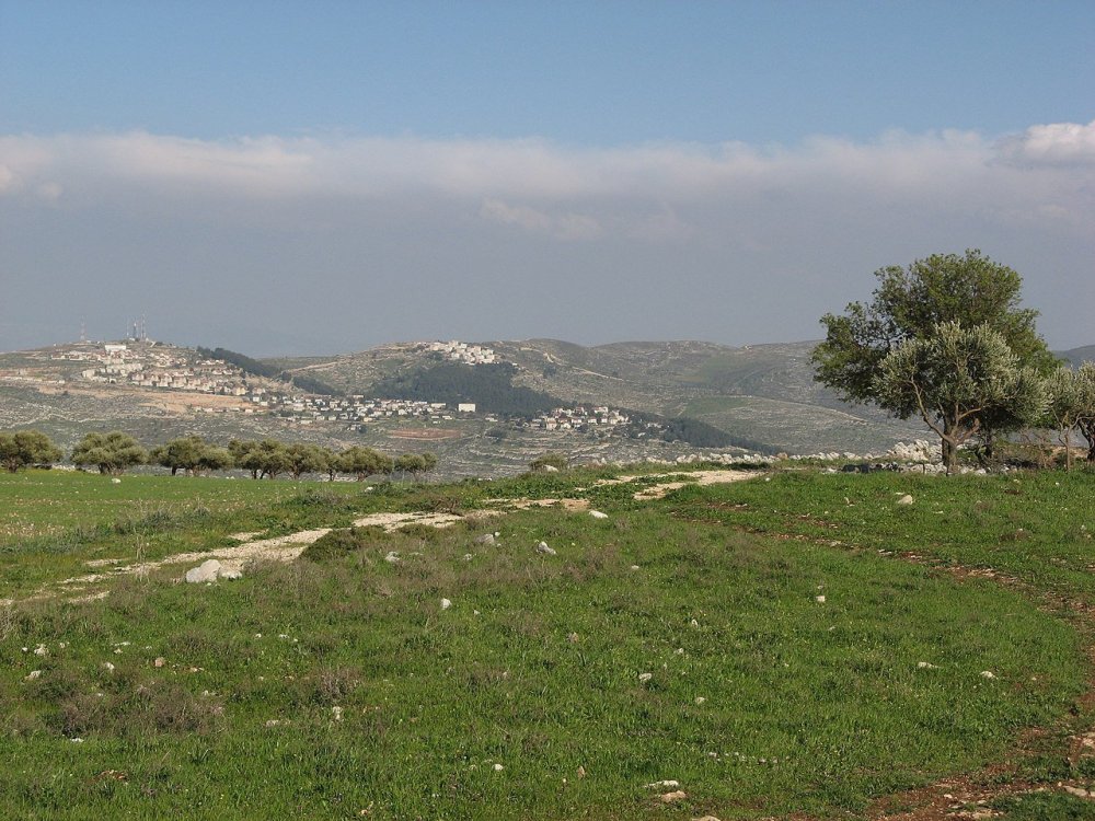 Mount_ebal,_near_nablus_4.jpg