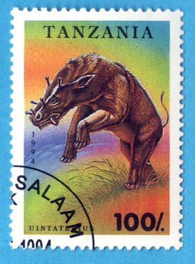 1681434890_6bis.Tanzania1.jpg.b0e381cf3e58585da0c70a8a80078e4a.jpg