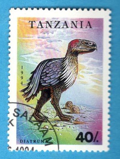 1936582172_6bis.Tanzania2.jpg.36c93c1389a19e82a5ba3f104a877b97.jpg