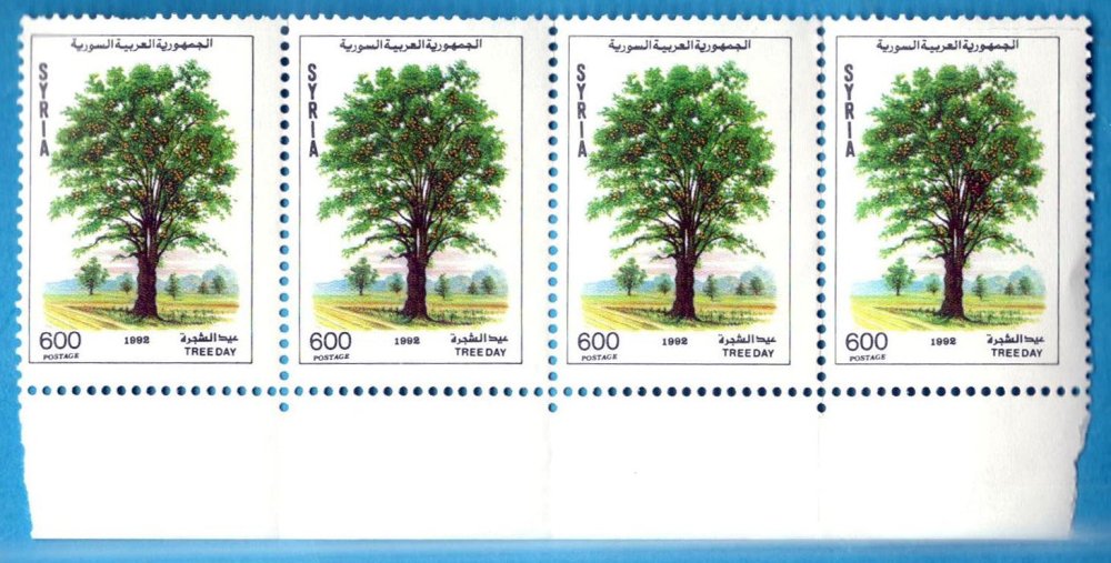 385496660_Siriaquartina1992giornodellalbero.francobolliesteri0029.thumb.jpg.3824bf2cd23d6a3e86a2bbf0b27d7261.jpg