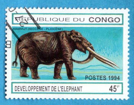446676052_5bis.repubblicadelCongo1.jpg.2024e89bf0a585e26540ce5efdf956bf.jpg