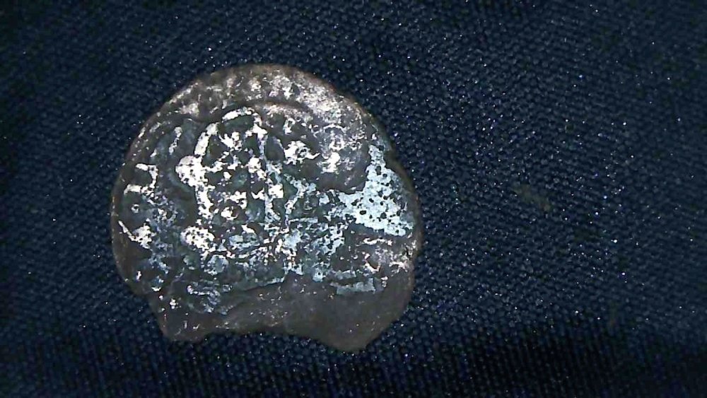 S20220410_002 Grande.jpeg