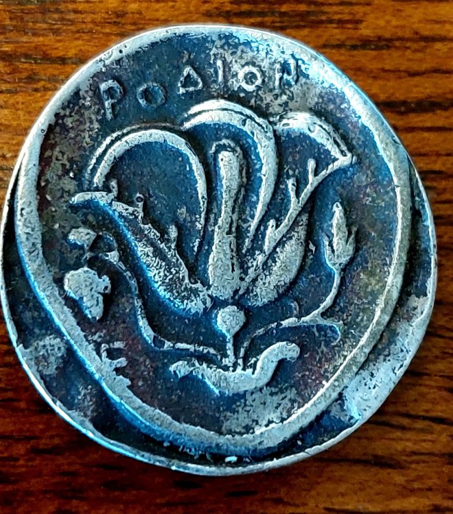 20220414_133429 (1).jpg