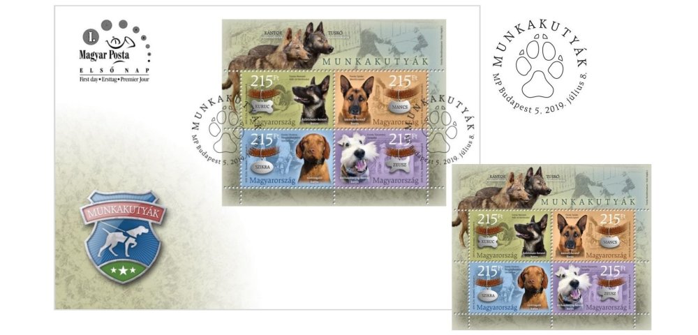 Munkakutyak_fej.jpg
