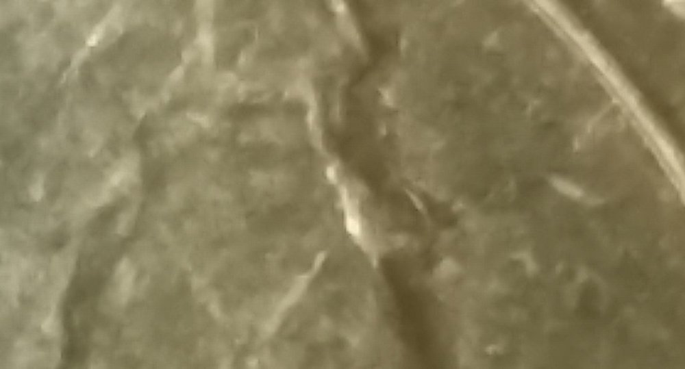 20220526_110115 - Copia.jpg