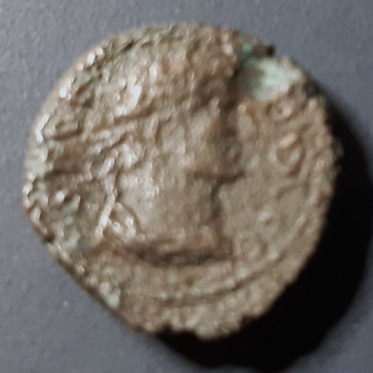 Diritto Tetra da identificare.jpg