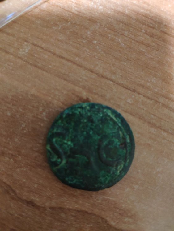 photo_2022-05-21 00.21.06.jpeg